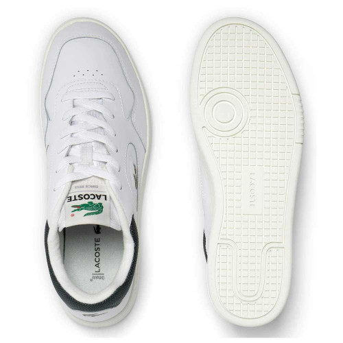Lacoste Lineset 2231 SMA